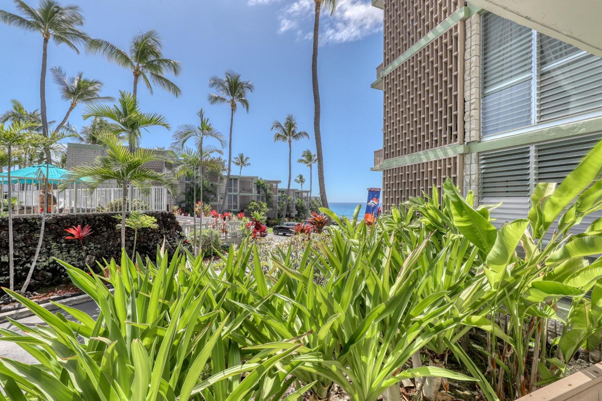 Alii Villas Kailua-Kona Rum bild