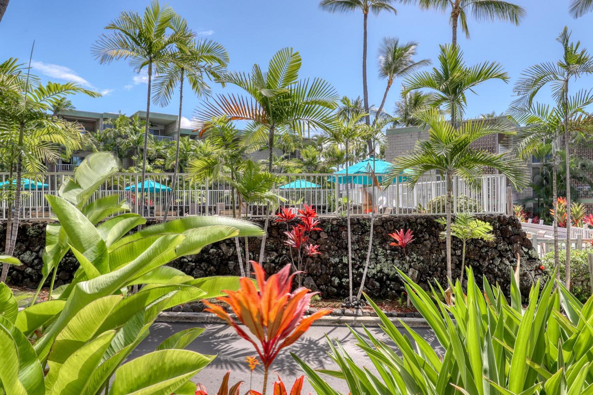 Alii Villas Kailua-Kona Rum bild